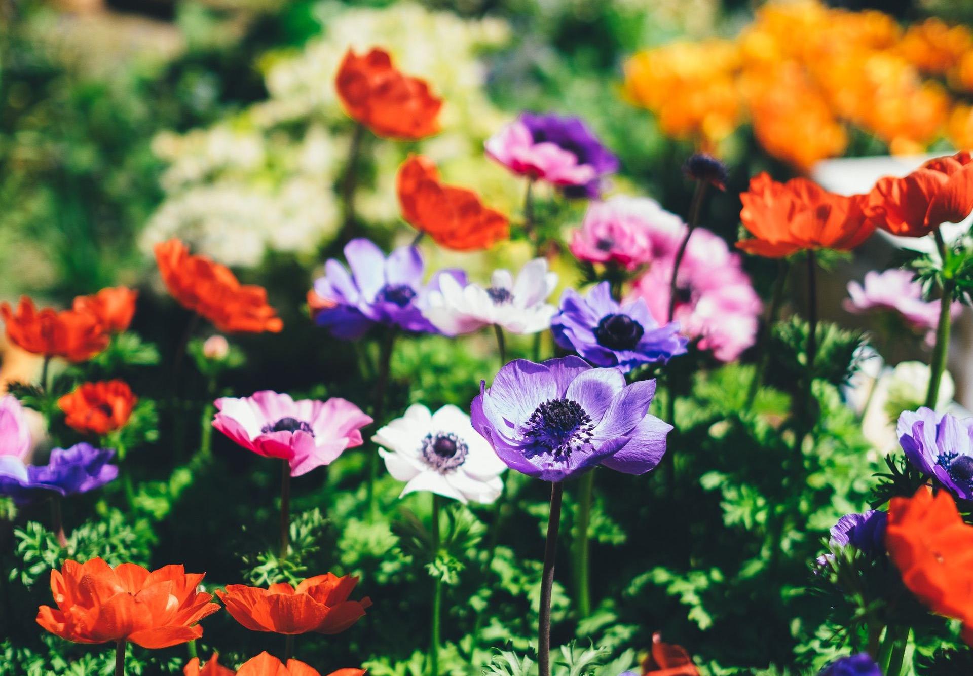 9 Ways to Appeal to Your Target Audience