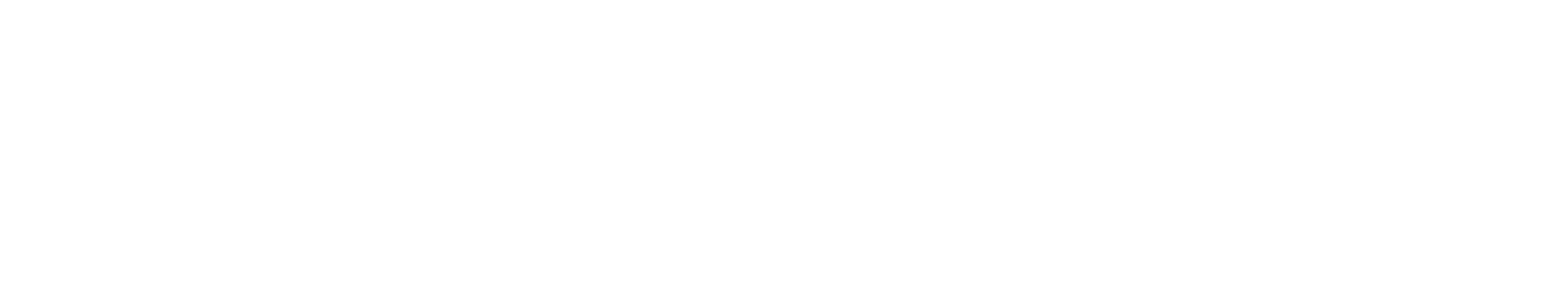 NSAA Ski Safety US Logo